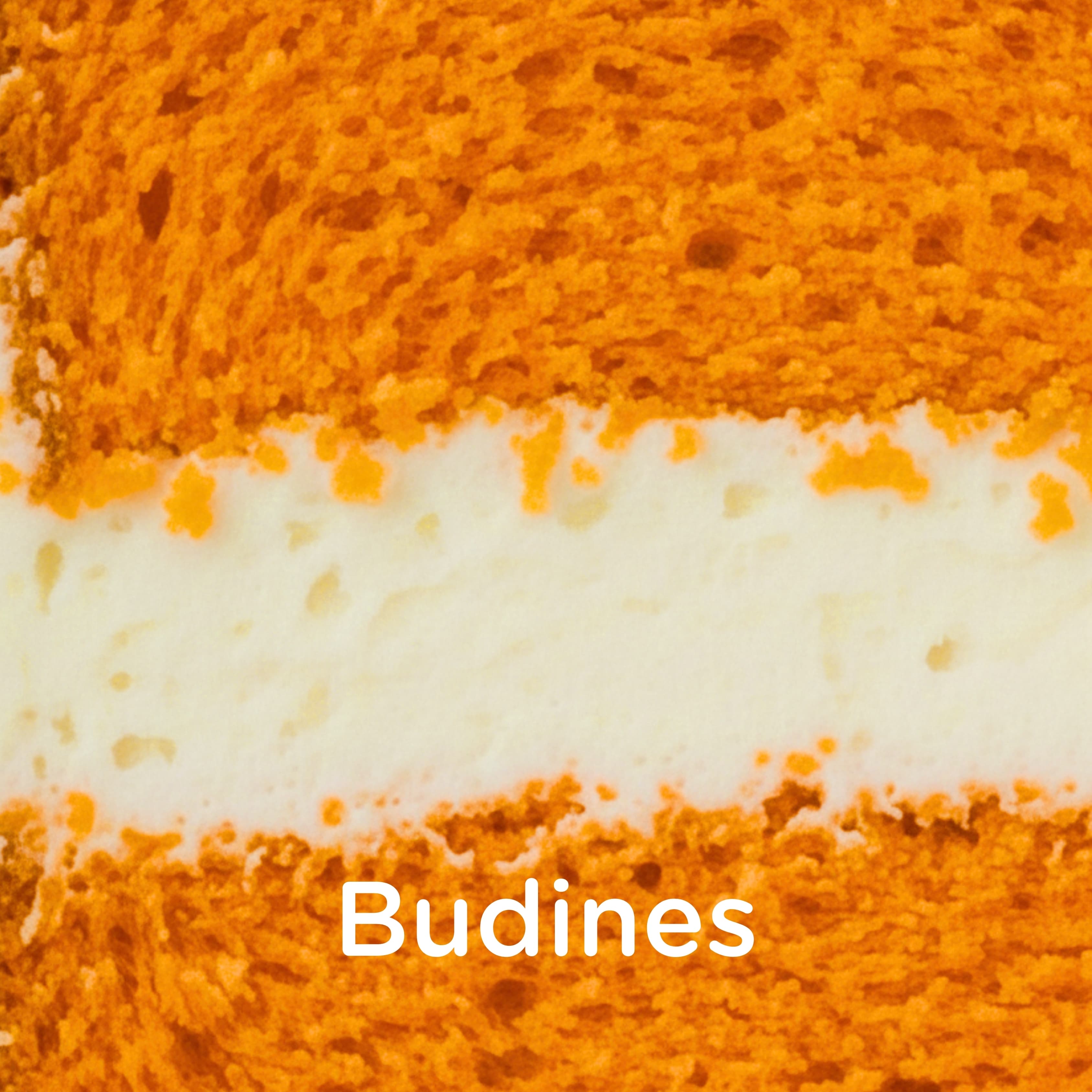 Budines