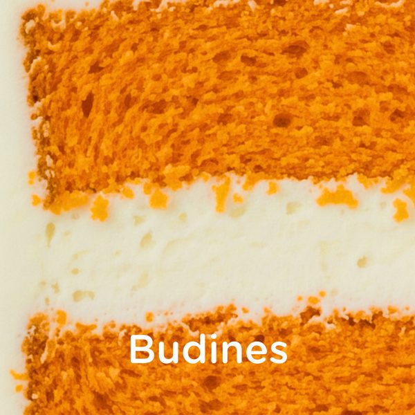 Budines